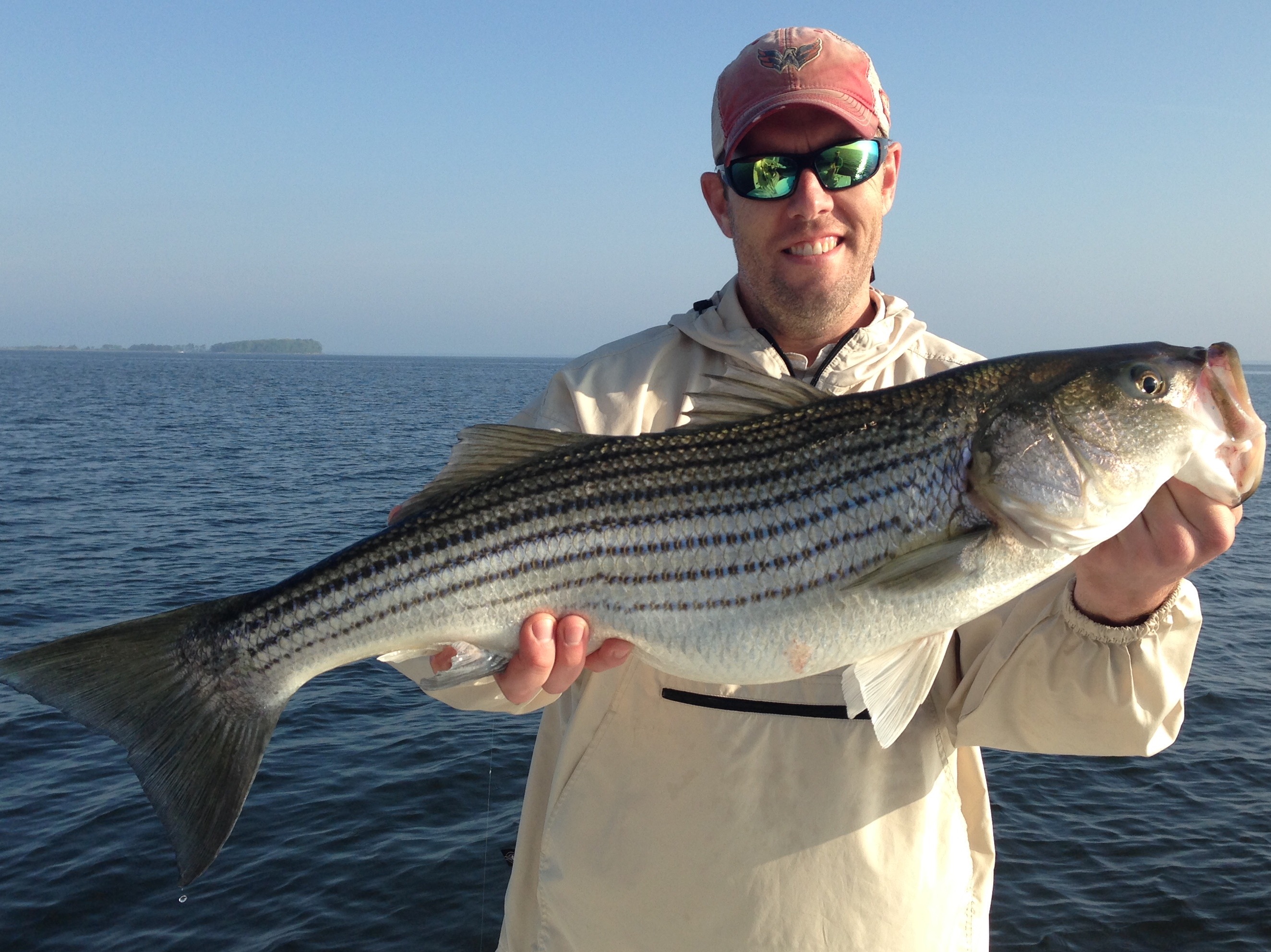 Big Chesapeake Bay Stripers: Using Soft Baits In The Shallows 