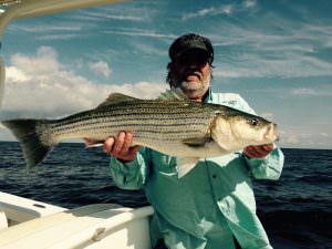 Fishing By Season – Fly Fish the Chesapeake Bay