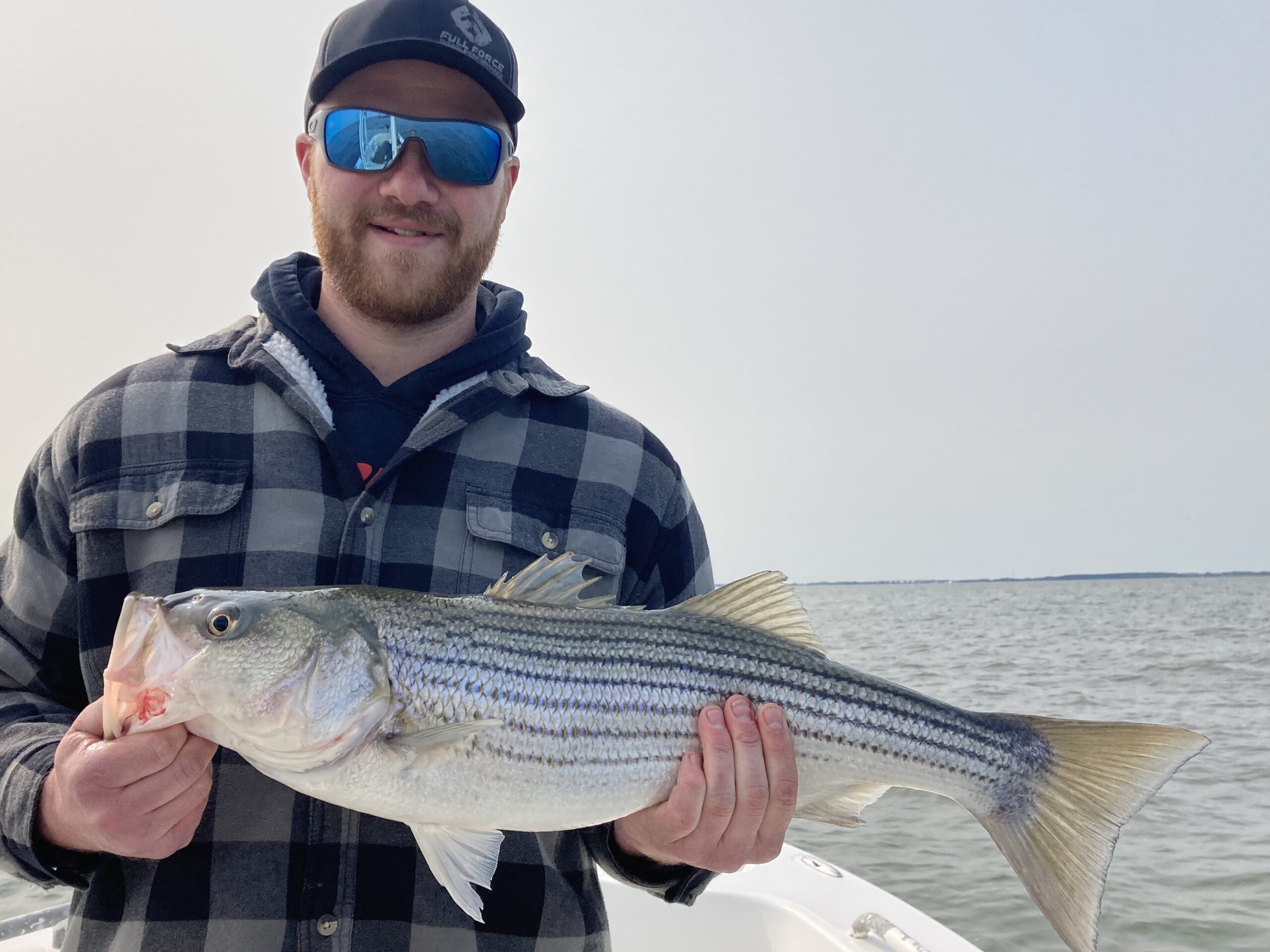 Big Chesapeake Bay Stripers: Using Soft Baits In The Shallows 